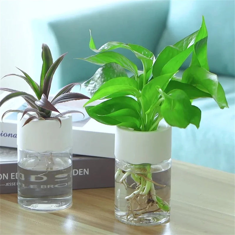 Mini Vaso de Decoração de Flores Hidropônico