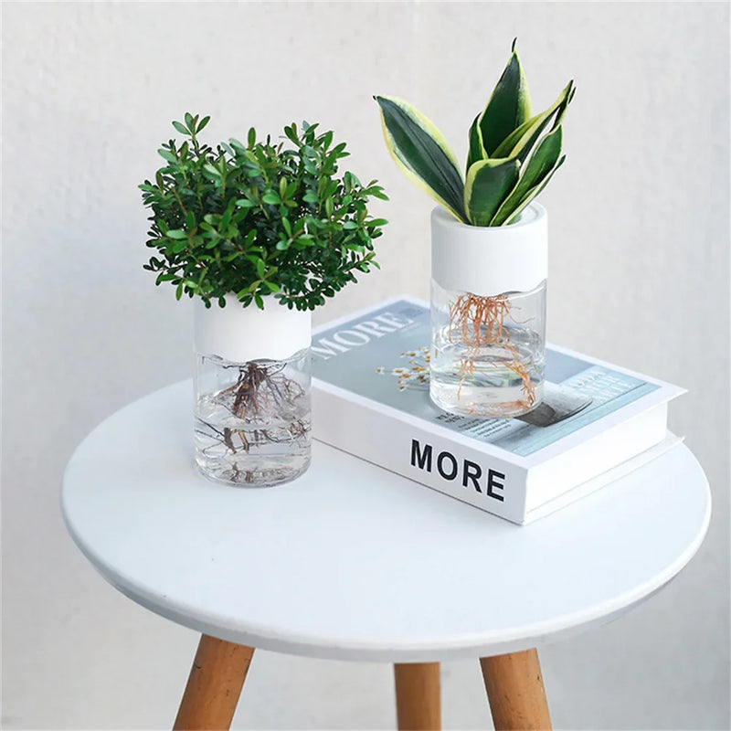 Mini Vaso de Decoração de Flores Hidropônico