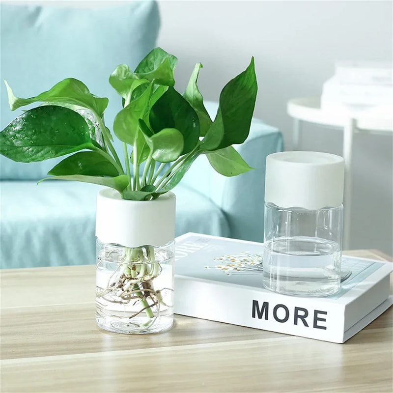 Mini Vaso de Decoração de Flores Hidropônico