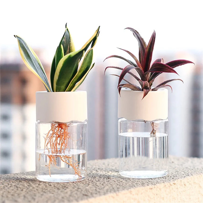 Mini Vaso de Decoração de Flores Hidropônico